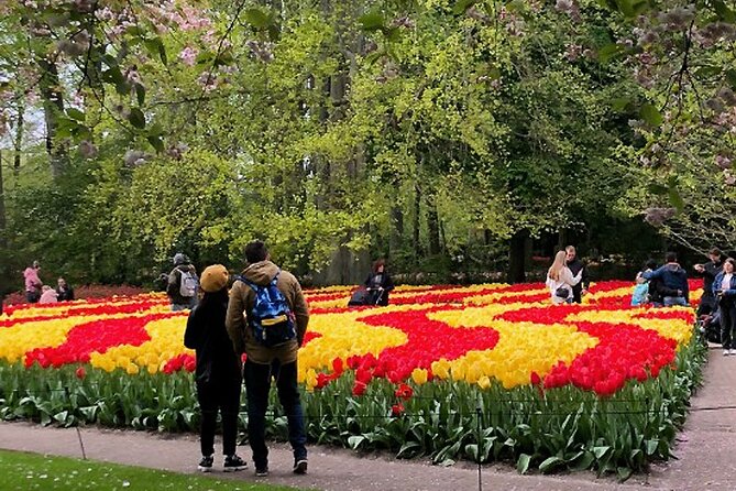Private Day Tour to Keukenhof Gardens - from Amsterdam/Rotterdam - Price and Logistics: What $23 Really Buys