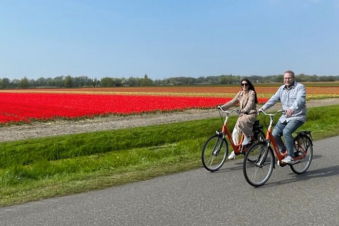 Private Day Tour to Keukenhof Gardens - from Amsterdam/Rotterdam - Keukenhof Gardens: Skip the Lines, Then Let the Guide Do the Teaching