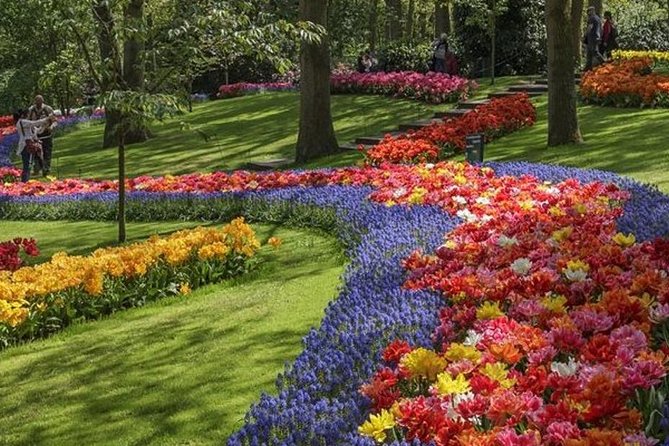 Private Day Tour to Keukenhof Gardens - from Amsterdam/Rotterdam - When Weather Gets Messy: How This Tour Handles Rain