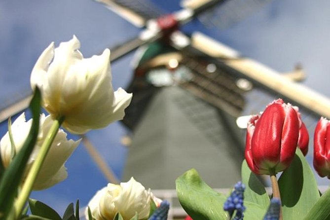 Private Day Tour to Keukenhof Gardens - from Amsterdam/Rotterdam - Packing and Comfort Notes That Make Keukenhof Easier
