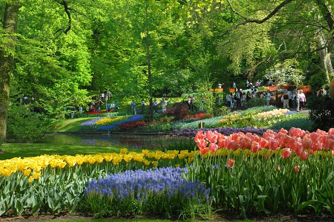 Private Day Trip from Amsterdam to Keukenhof with Entrance Tickets - Who This Tour Is Best For