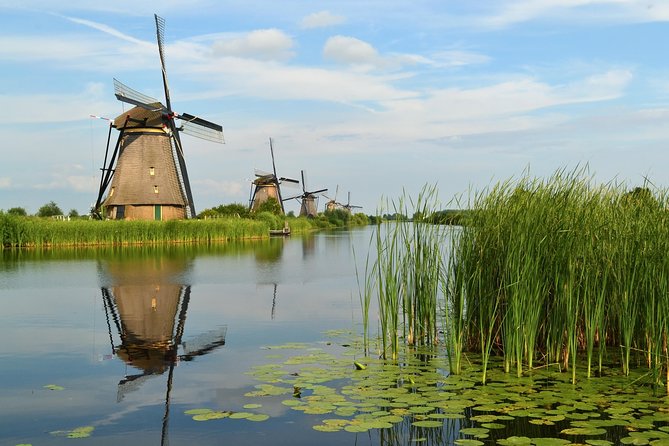 Private Day Trip from Amsterdam to Rotterdam and the Hague - Markthall and its architecture: The Hague’s standout visual moment
