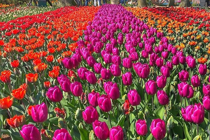 Private Day Trip to Keukenhof Gardens with Entrance Tickets - Private Guide Time: More Than Just a Ticket Scan