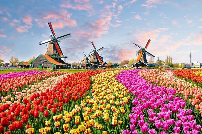 Private Day Trip to Zaanse Schans, Volendam & Marken from Amsterdam - Zaanse Schans windmills, cheese and clogs, and tulip timing