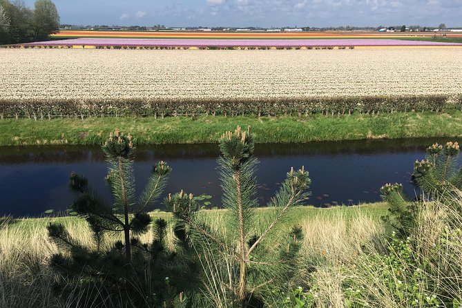 Private daytour from Amsterdam into the Countryside - Marken: walking a former island village