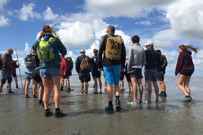 Private Guided Full-Day Customizable Tour of Holland from Amsterdam - How this custom Holland day really works (and why it matters)
