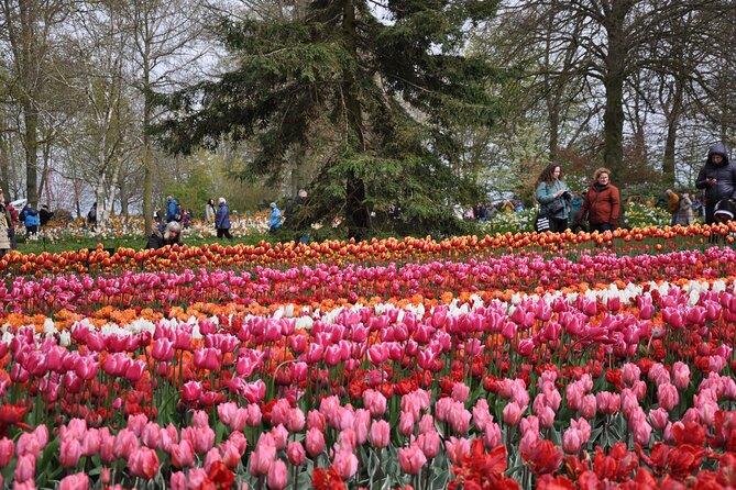 Private Guided Keukenhof Gardens and Zaanse Schans Tour - Molen De Kat: The Last Paint Mill and a Windmill Climb for Photos