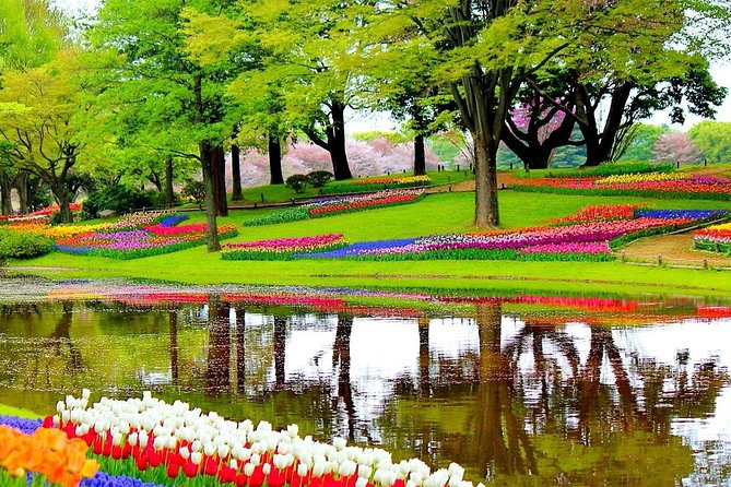 Private Half-Day Trip From Amsterdam to The Tulip Fields in Keukenhof - Entering Keukenhof: How a Half-Day Actually Works