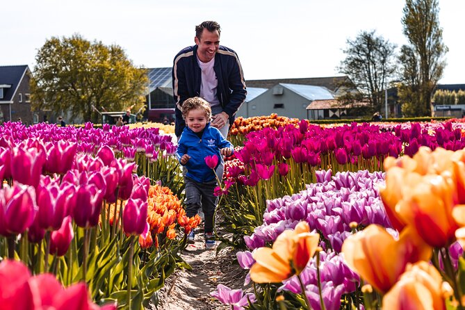 Private Keukenhof Gardens and Tulip Fields Tour from Amsterdam - A practical way to enjoy Tulip Experience + Keukenhof