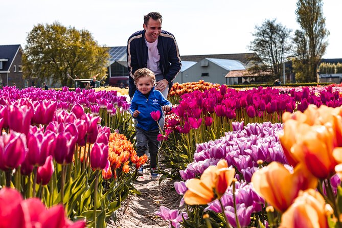 Private Keukenhof, Gardens, Windmills, cheese tour from Amsterdam - Who should book this private Keukenhof and windmills day