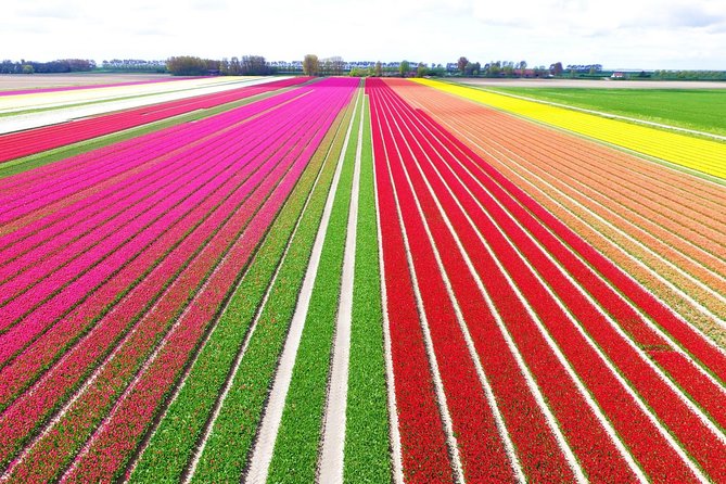 Private Keukenhof Park and Tulip Fields Tour (Skip-The-Line) - Key Things to Know Before You Go