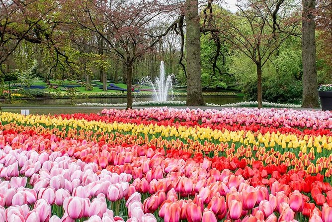 Private Keukenhof Park and Tulip Fields Tour (Skip-The-Line) - Private Keukenhof: Why This Works So Well for Spring