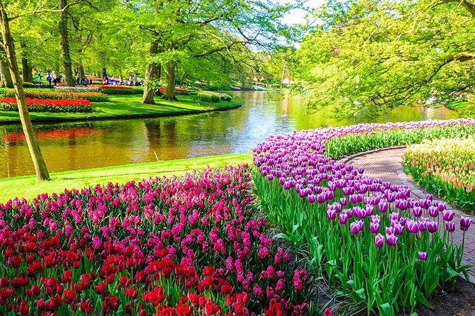 Private Keukenhof Park and Tulip Fields Tour (Skip-The-Line) - Amsterdam Pickup and the Ride Out: Mercedes Comfort, Wi‑Fi, and Real Meetups