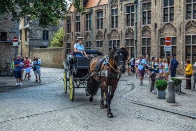 Private Sightseeing Day Trip to Ghent and Bruges from Amsterdam - St. Bavo and Ghent city center: using a short window well