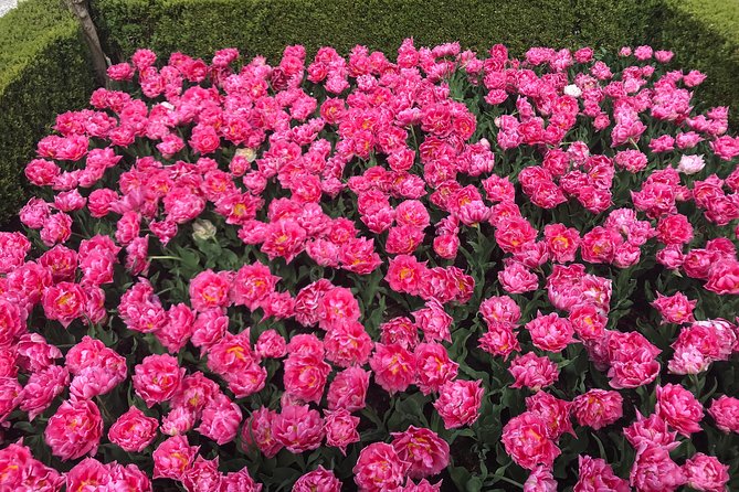 Private Tour to the Keukenhof and Tulip Fields - Who this tour is best for (and who should skip it)