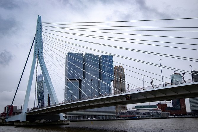 Private Transfer from Amsterdam city center to Rotterdam - Wi-Fi, bottled water, and the “keep moving” perks
