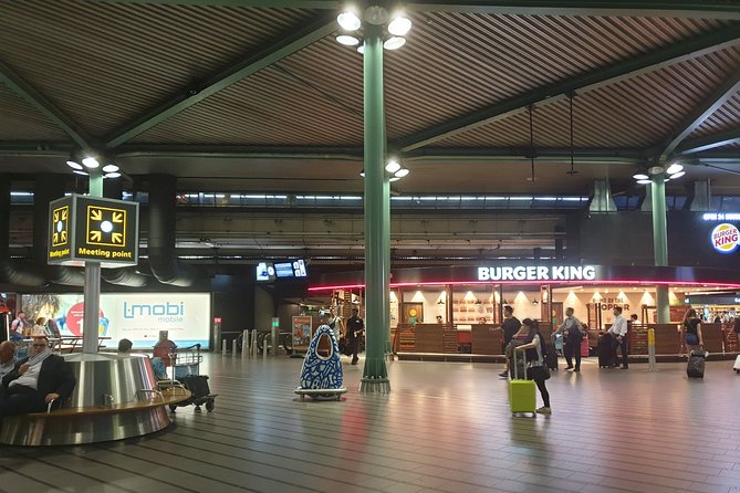 Private Transfer from Schiphol Airport to Rotterdam - How the service handles delays: flight tracking and driver follow-up