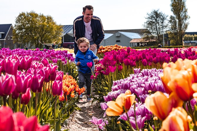 Private Tulip Fields, Windmills and Cheese Tour from Amsterdam - Jacobs Hoeve by Henri Willig: cows, Gouda, and a taste that makes the day feel complete