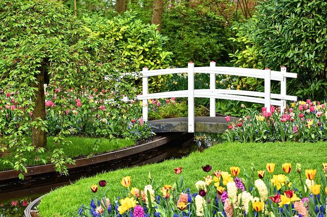 Private Tulip Fields, Windmills and Cheese Tour from Amsterdam - Zaanse Schans: windmills, craft, and that Dutch “working postcard” feeling