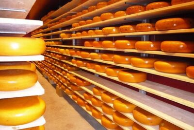 Private Zaanse Schans & Volendam Tour: Windmills, Cheese & Clogs - Private pickup, Wi-Fi, and the 5-hour rhythm
