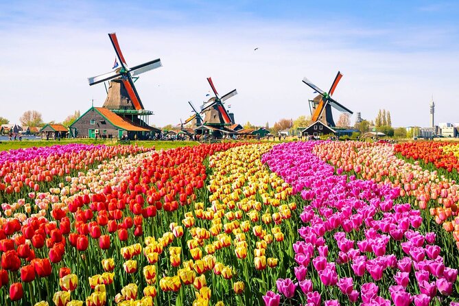 Private Zaanse Schans & Volendam Tour: Windmills, Cheese & Clogs - Clogs workshop and cheese farm: the part people remember