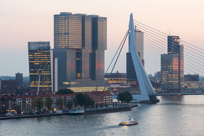 Rotterdam, Delft and The Hague Guided Tour from Amsterdam - Markthal in 15 minutes: a quick market-hall taste
