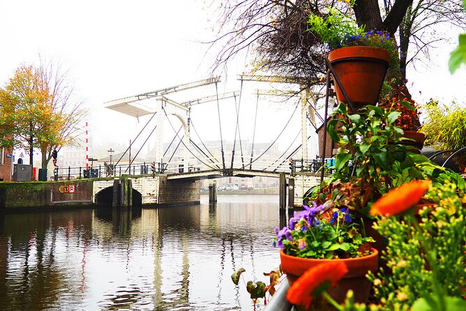 Small Group Hidden Gems Tour in Amsterdam - ARTIS Amsterdam Royal Zoo: Flamingos, Artists, and WWII Resistance