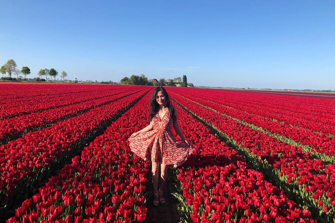 Small Group Keukenhof and Delft Guided Tour from Amsterdam - Key highlights at a glance