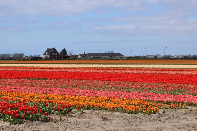 Small Group Keukenhof and Delft Guided Tour from Amsterdam - The day-trip formula: Keukenhof plus Delft in one shot