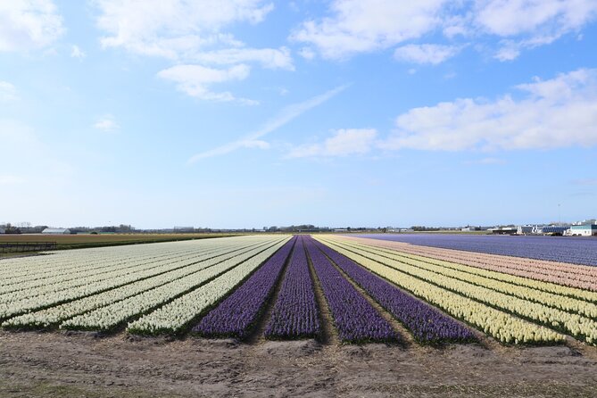 Small Group Keukenhof and Delft Guided Tour from Amsterdam - Lisse bulb fields: quick views for tulip-photo cravings