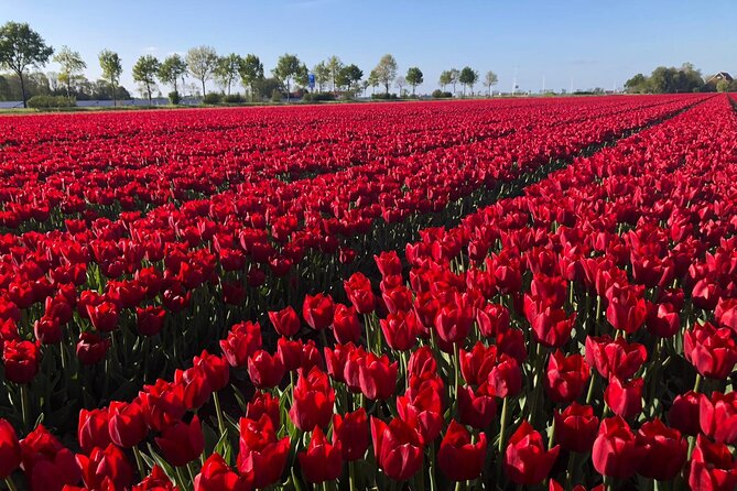 Small Group Keukenhof and Delft Guided Tour from Amsterdam - Delft’s canal-city feeling: pottery demo and free-walk time