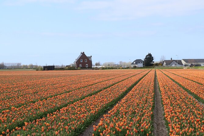 Small Group Keukenhof and Delft Guided Tour from Amsterdam - Price and value: what you’re paying for (and what you’re not)
