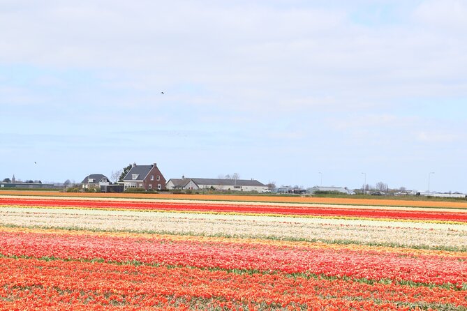 Small Group Keukenhof and Delft Guided Tour from Amsterdam - Guides make the difference: names you might hear on your day