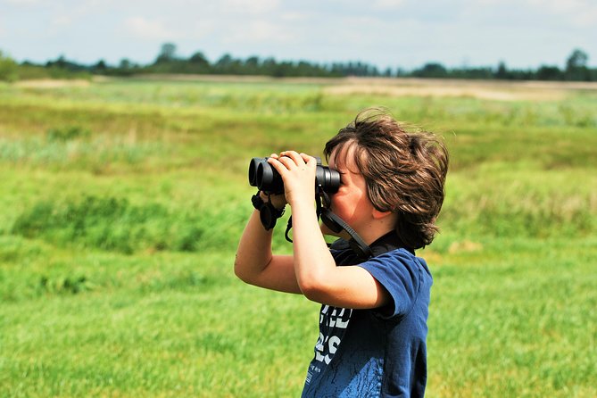 Small Group Tour to NP Hoge Veluwe (van Gogh) from Amsterdam - Small group of up to 16: why it feels personal