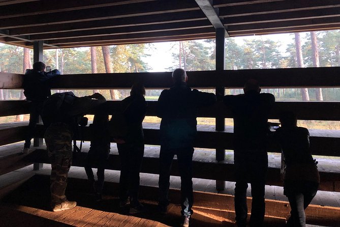 Small Group Tour to NP Hoge Veluwe (van Gogh) from Amsterdam - What’s included (and how to plan around the gaps)