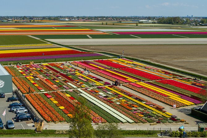 Tour to Giethoorn and Keukenhof Tulip Fields from Amsterdam - Practical Tips to Make Your Day Feel Effortless