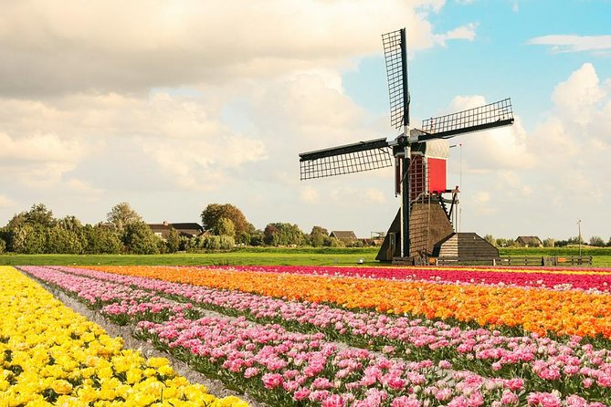 Tulip Experience and Keukenhof Flower Gardens Tour from Amsterdam - How a private Keukenhof day works from Amsterdam