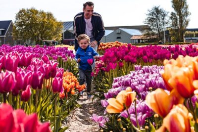 Tulip Experience and Keukenhof Flower Gardens Tour from Amsterdam - Keukenhof gardens with pre-booked tickets and your own pace