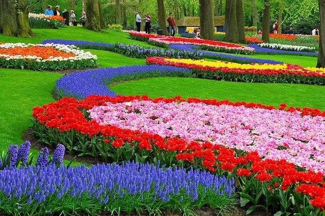 Tulip Experience and Keukenhof Flower Gardens Tour from Amsterdam - Who this tour fits best (and who might want another option)