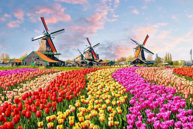 Tulip Paradise: Keukenhof Half-Day Private Tour - Private tulip day: what the half-day plan really feels like