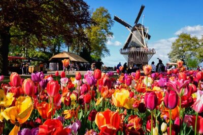 Tulip Paradise: Keukenhof Half-Day Private Tour - Blooming fields and windmills: the morning photo session