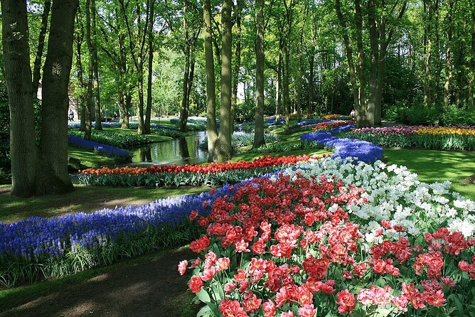 Tulip Paradise: Keukenhof Half-Day Private Tour - The realistic timing: when you have to plan your day