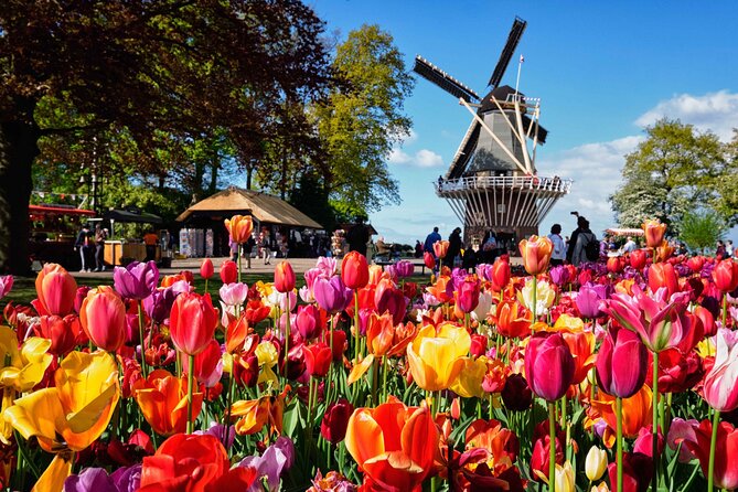 Tulip Paradise: Keukenhof Half-Day Private Tour - Blooming fields and windmills: the morning photo session