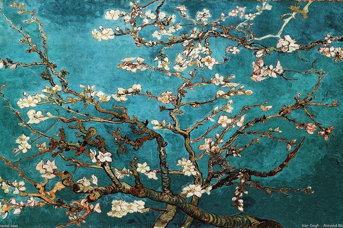 Van Gogh Museum Amsterdam Exclusive Tour w/ Reserved Entry - The Artists Around Van Gogh: Gauguin, Monet, and More