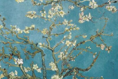 Van Gogh Museum Amsterdam Private Guided Tour With Admission - The 3-Hour Private Tour: What You’ll Actually See