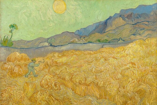Van Gogh Museum, Small Group Tour (incl timed entry tickets) - Timed-entry Van Gogh Museum visits: why it changes everything