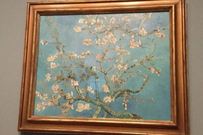 Van Gogh Museum, Small Group Tour (incl timed entry tickets) - Small-group pacing (max 10) and why you’ll actually hear the guide