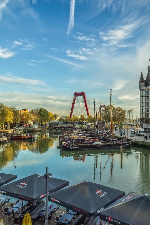 VIP Private Full Day Tour of the Netherlands - Who should book this private Netherlands day tour
