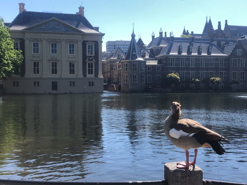 Visit the Girl with the Pearl Earring, The Hague & Delft - Who this tour suits best (and who should skip it)