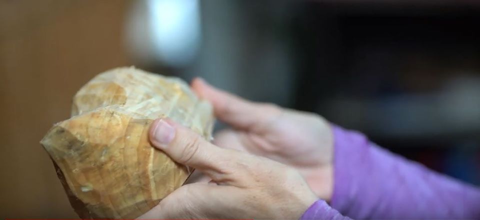Volendam: 2-Hour Clogmaking Workshop and Cheese Tour - The tasting room: Gouda, Edam, stroopwafel, speculaas, and fruit wine